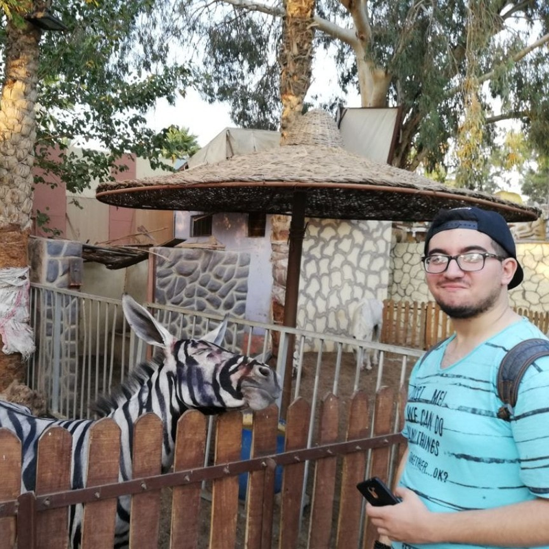 Illustration for article titled Un zoo egipcio pinta un burro con rayas blancas y negras para hacerlo pasar por una cebra